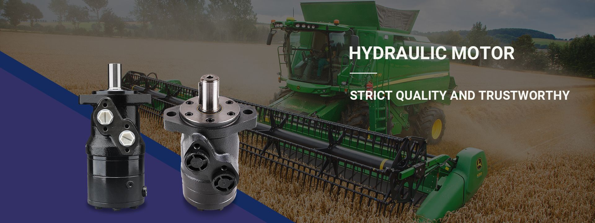 Hydraulic Motor