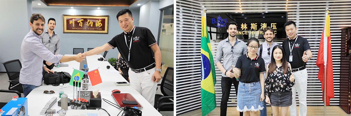 Design and Customized Hydraulic Power Unit for Brazil Customer